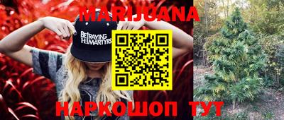 тгк Будённовск