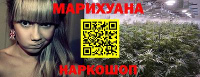тгк Будённовск