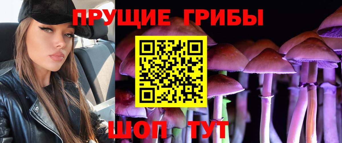 Тверь  Псилоцибиновые грибы GOLDEN TEACHER  Вход с VPN 